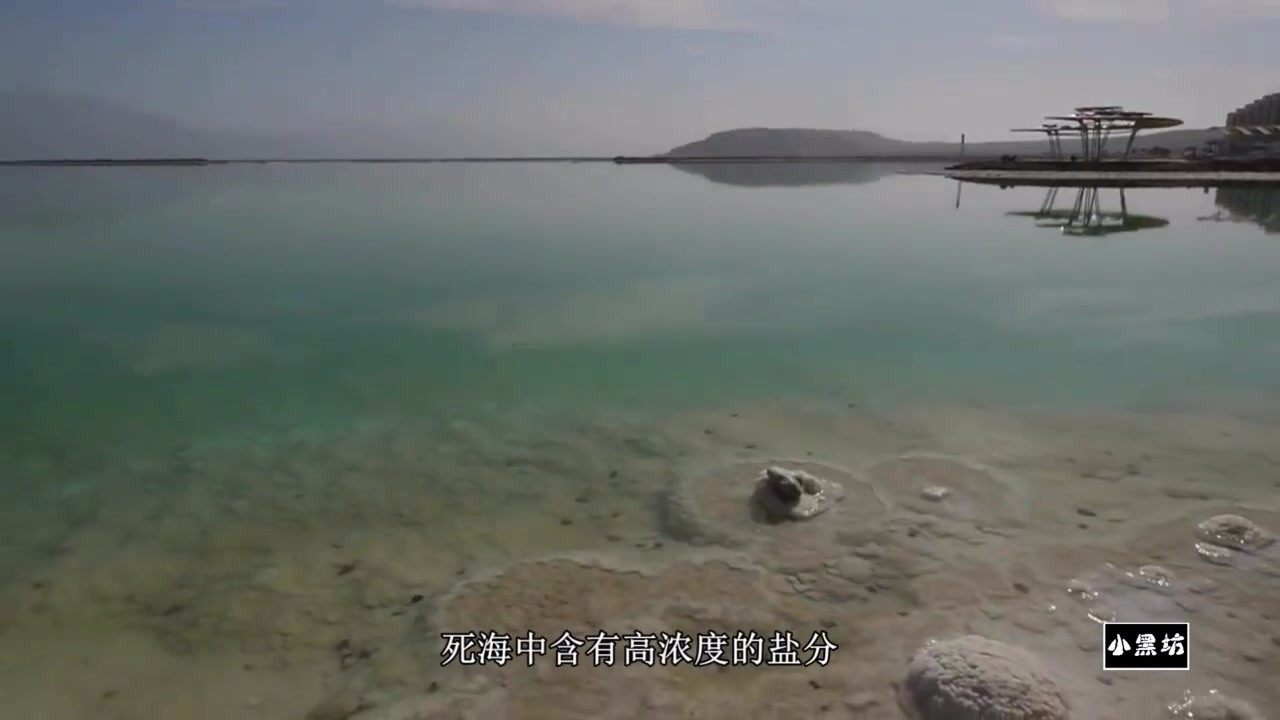 Put your cell phone into the Dead Sea for 24 hours and see if it can survive.
