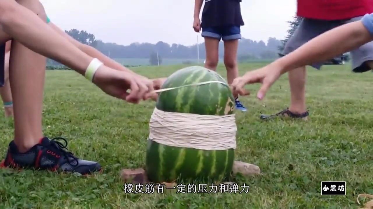 Tie the leather band to the watermelon. Can you squeeze the watermelon to burst?