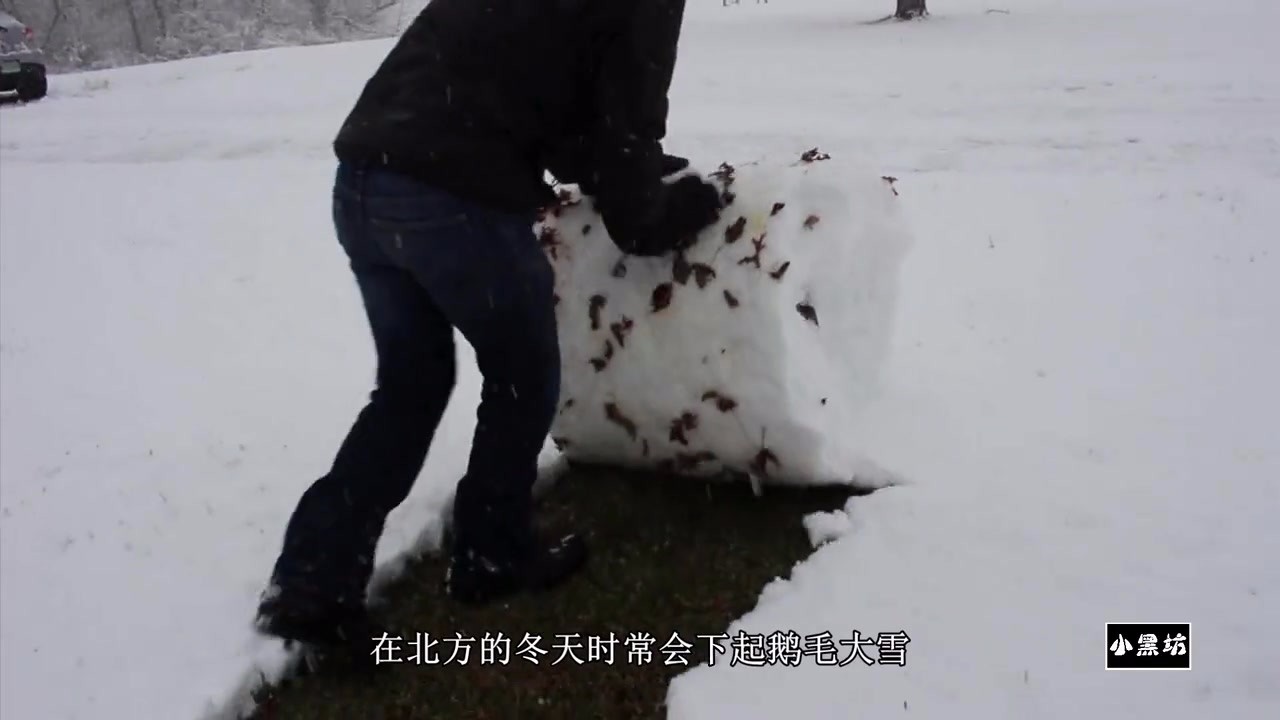 It's also interesting to roll out a big snowball like this in the thick snow piled up in winter.