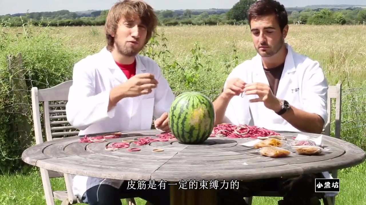 How many leather bands can break the watermelon, foreigners prepared 500, watermelon was squeezed and exploded