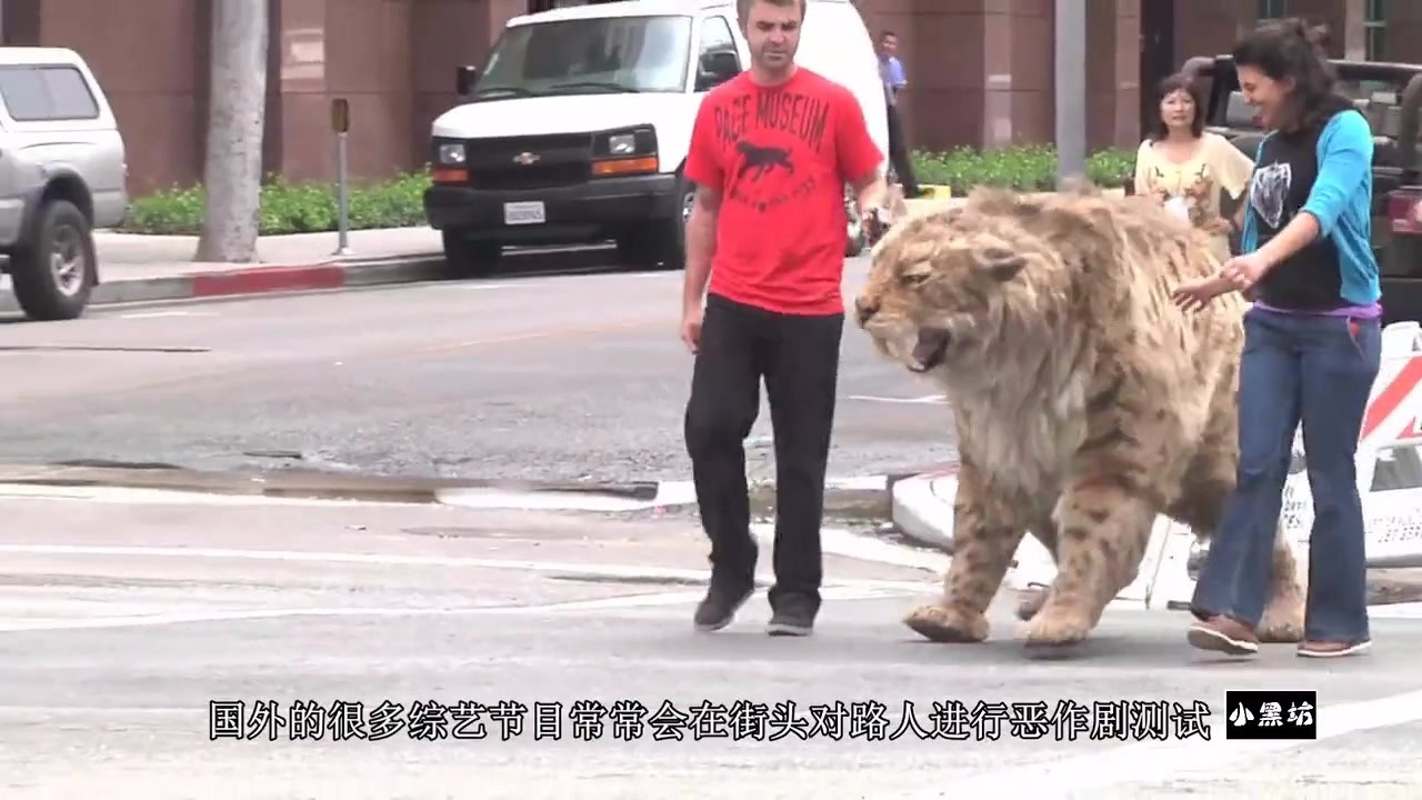 Take a saber-toothed tiger for a walk in the street to see how passers-by react.