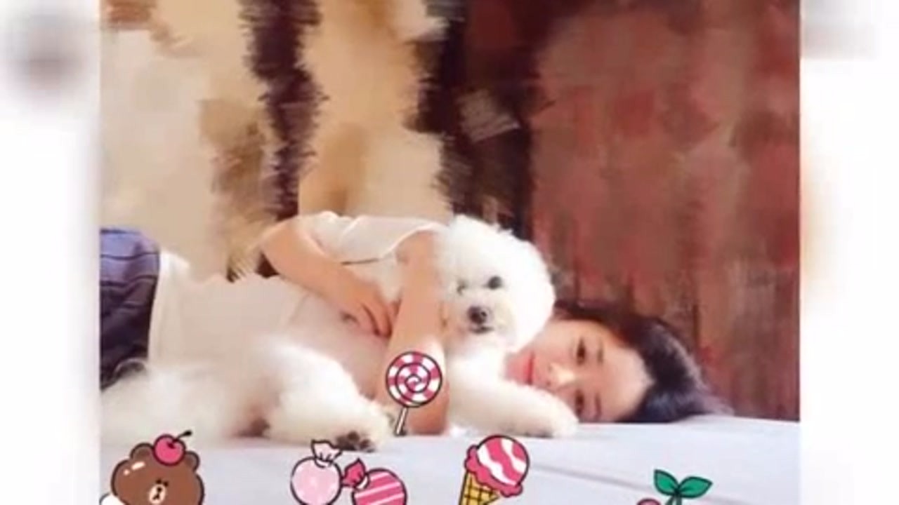 Zhao Liying and her dog are full of facial mask.