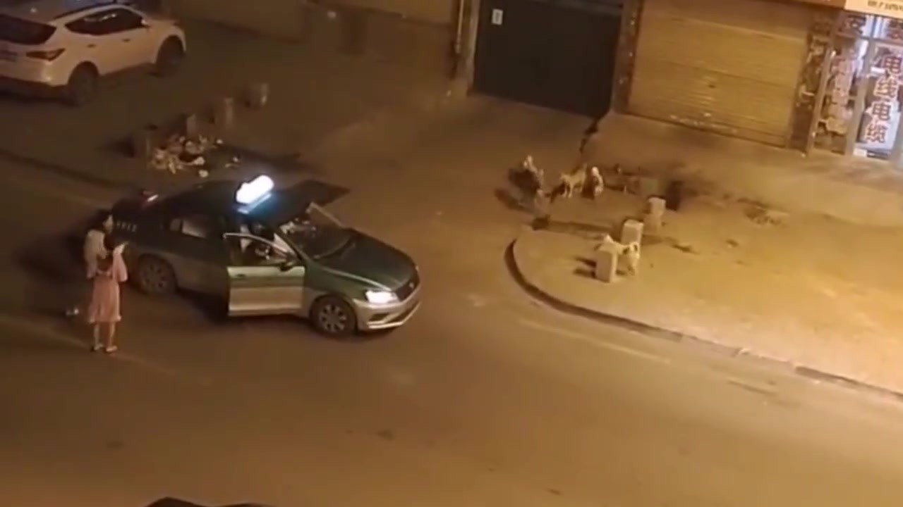 Two beautiful women encounter a group of dogs, taxi drivers roar unevenly on the road!