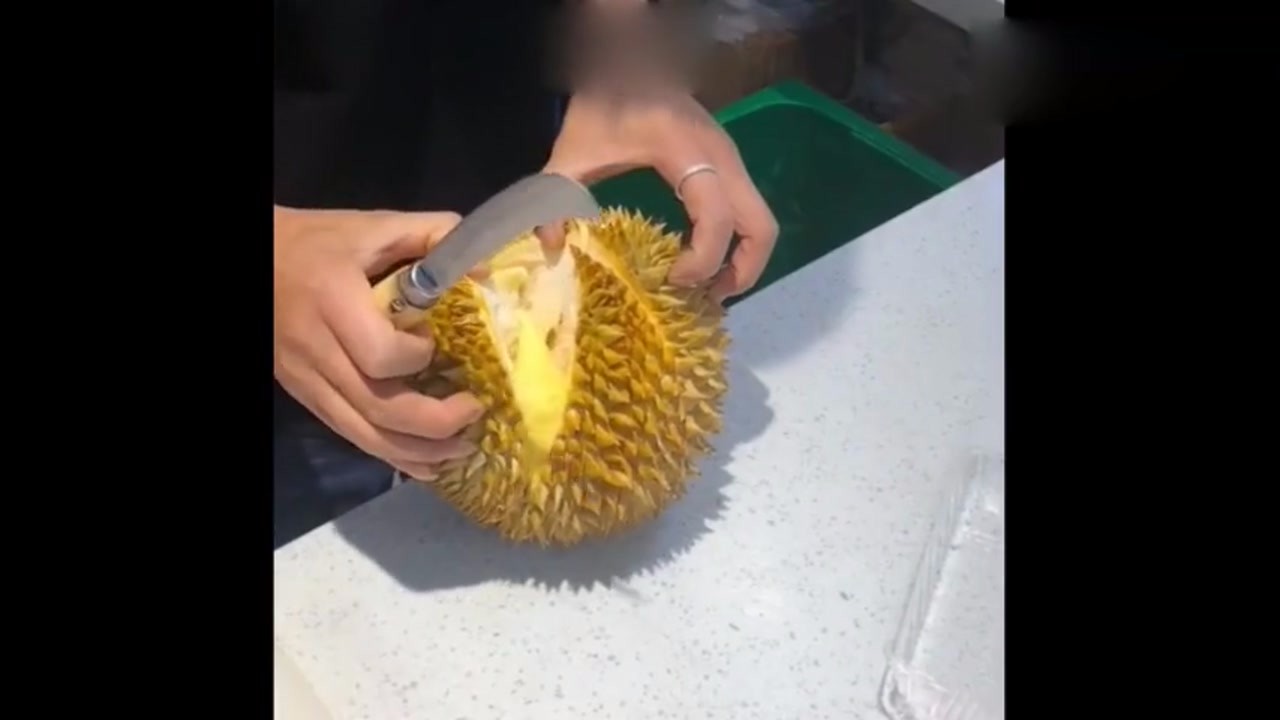 This is the authentic Papaw Durian. I don't know how much it costs. I dare not ask.