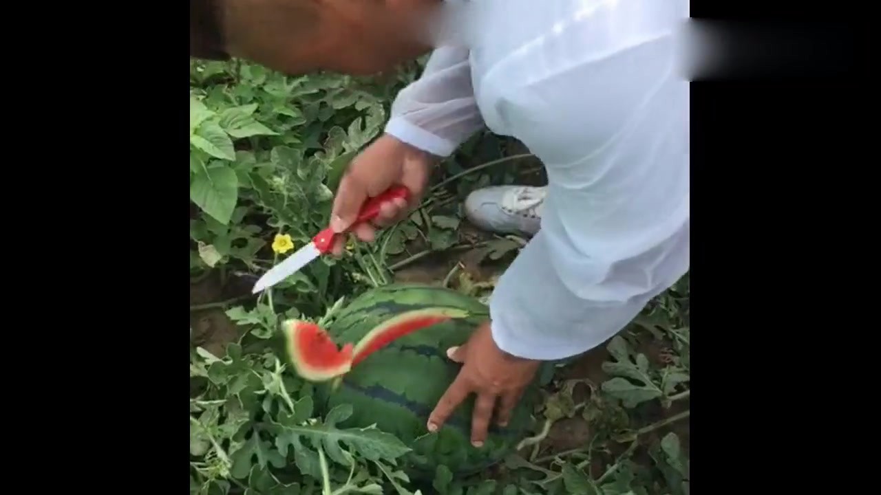The young man drives a watermelon. When he opens it, the netizen gives me a car.