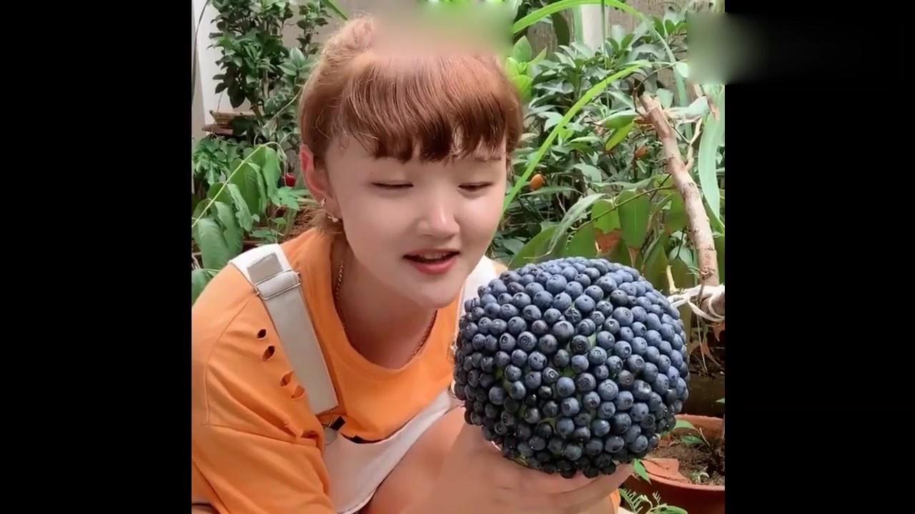 Such a big round ball of blueberries, bite down the moment, netizens eat local food.