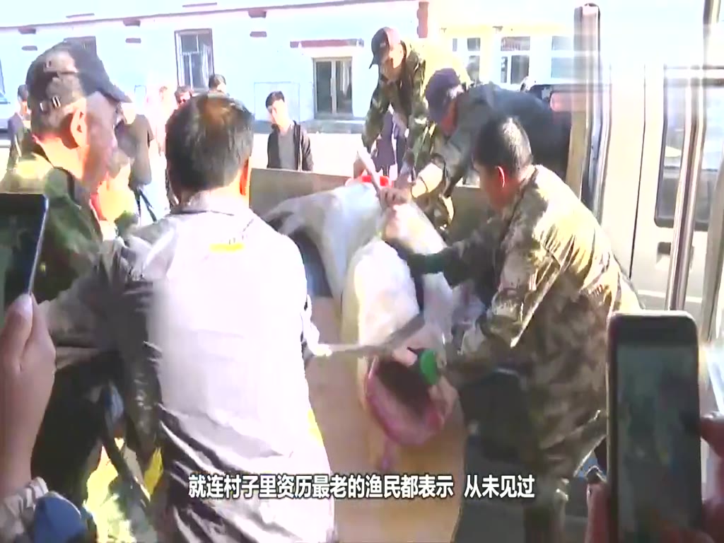 Heilongjiang fishermen catch a super weird fish, weighing 130 kilograms, and the unit costs 200,000 to buy it!