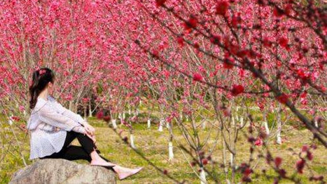 There is a peach blossom island hidden in the deep mountains of Fujian Province. The beautiful scenery of ten miles peach blossom is beside it.