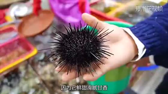 Poor mothers thrift and buy sea urchins every day to feed their mentally retarded sons. Great maternal love