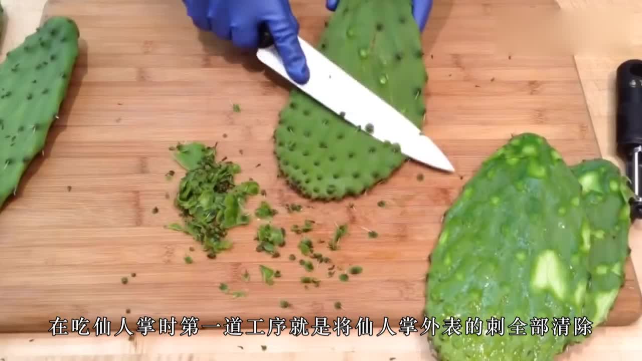 How much do you love the country that has created 100 ways to eat cactus?