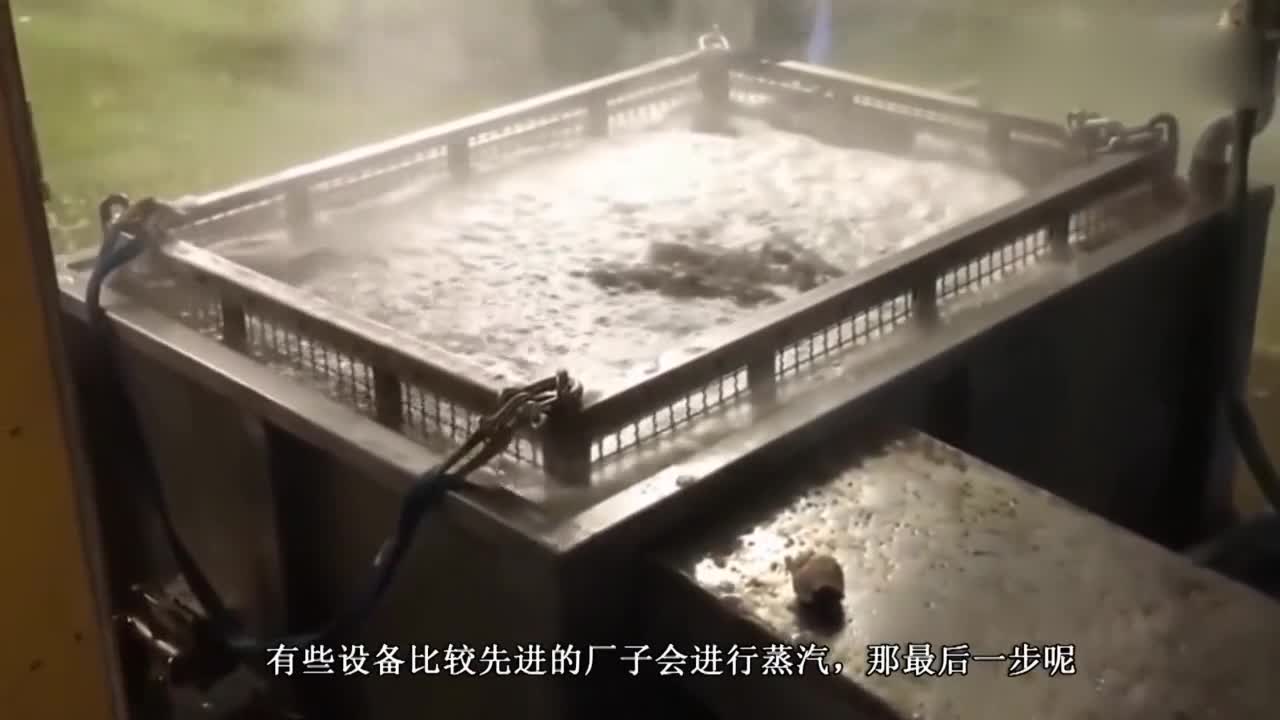 Super Octopus Processing Plant Production Line, After reading, I feel that octopus is very pitiful.