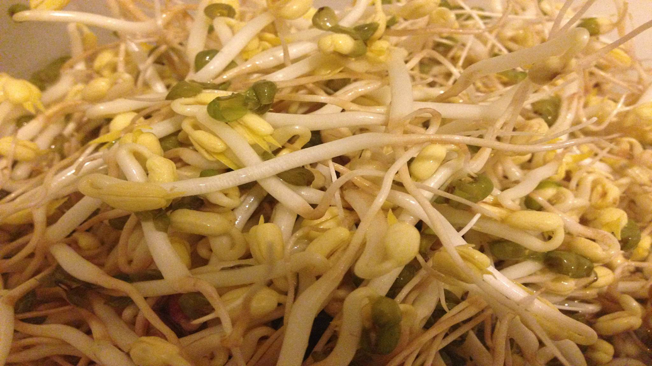 Bean sprouts and it is a natural pair, the effect is comparable to 
