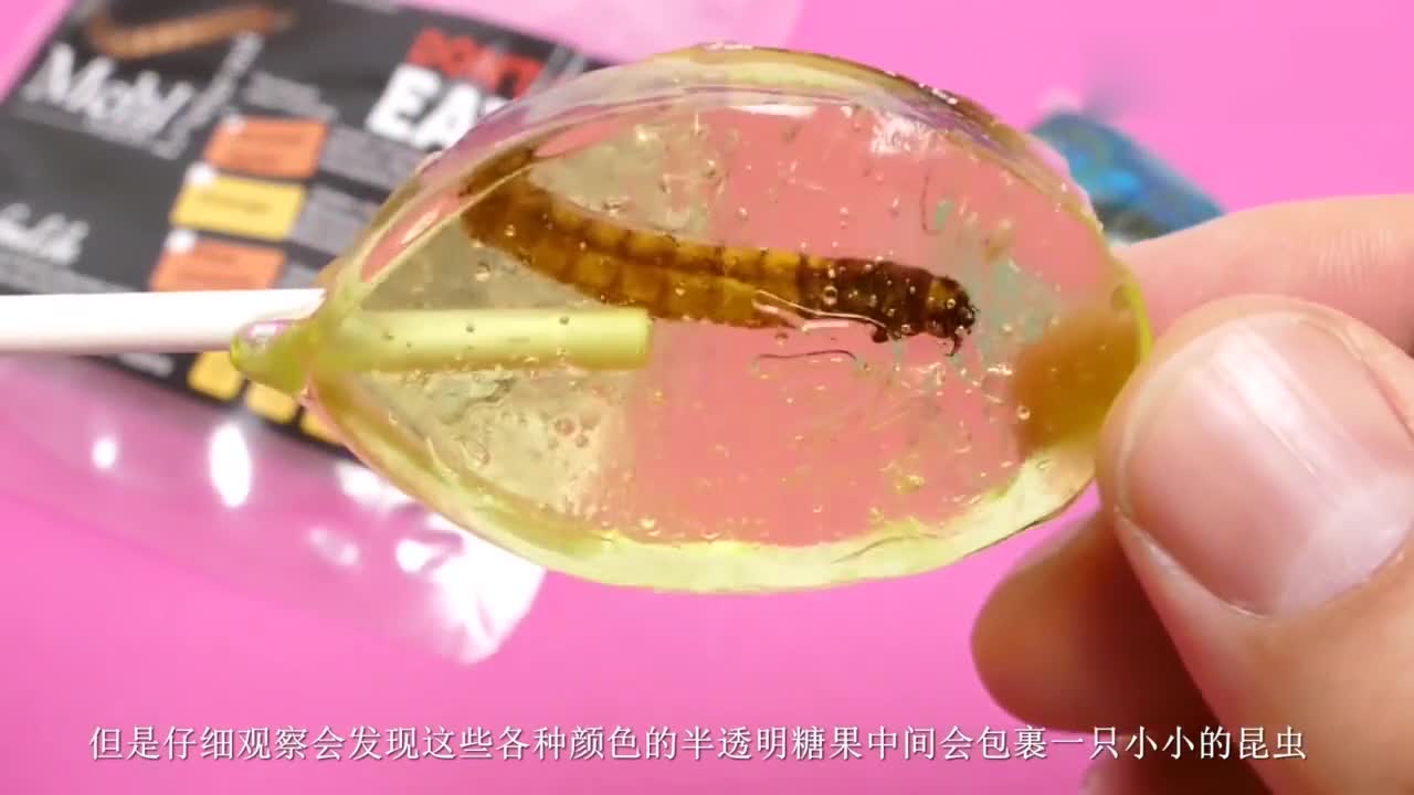 Super exotic "insect" lollipop, what exactly is the insect inside?