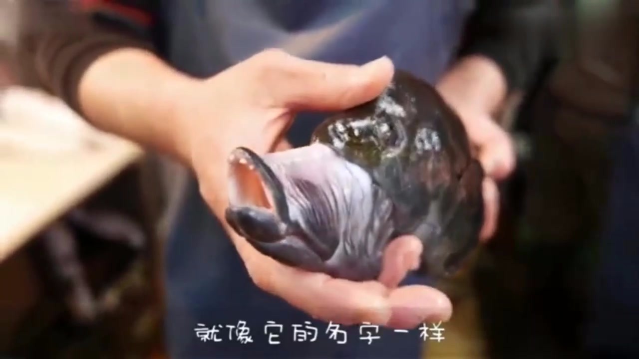 The fish looks evil. Its mouth can reach 10 centimeters. The Japanese make it into a thorn and eat it raw.