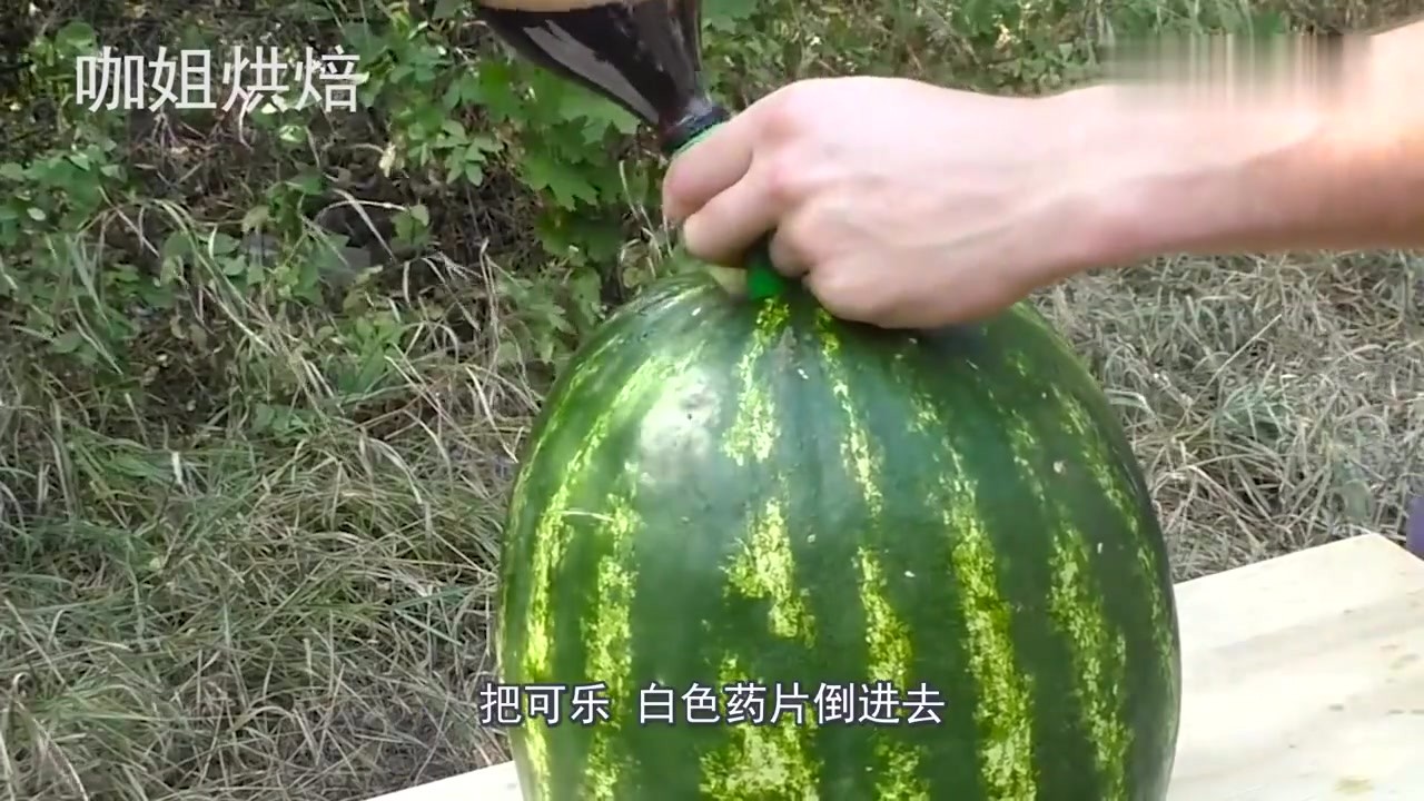 Look at how foreign cattle people toss watermelons! Put the white Coke pills in and change into a fountain in an instant.