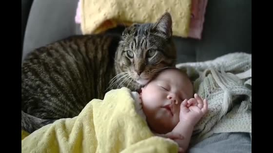 The cat watches the baby closely, sleeping with her while paying attention to her surroundings. The nanny is qualified.