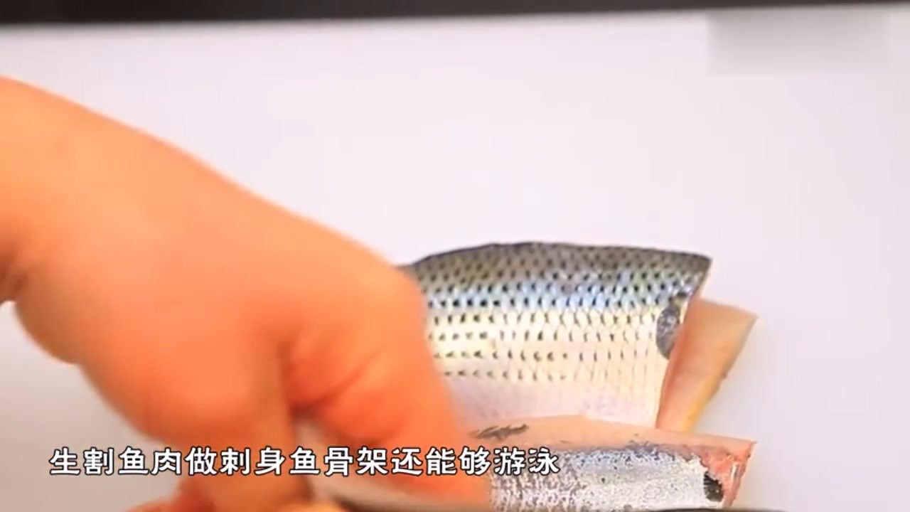 How horrible is the culinary skill of top chefs in Japan? Raw cut fish for spine, fish skeleton can also swim