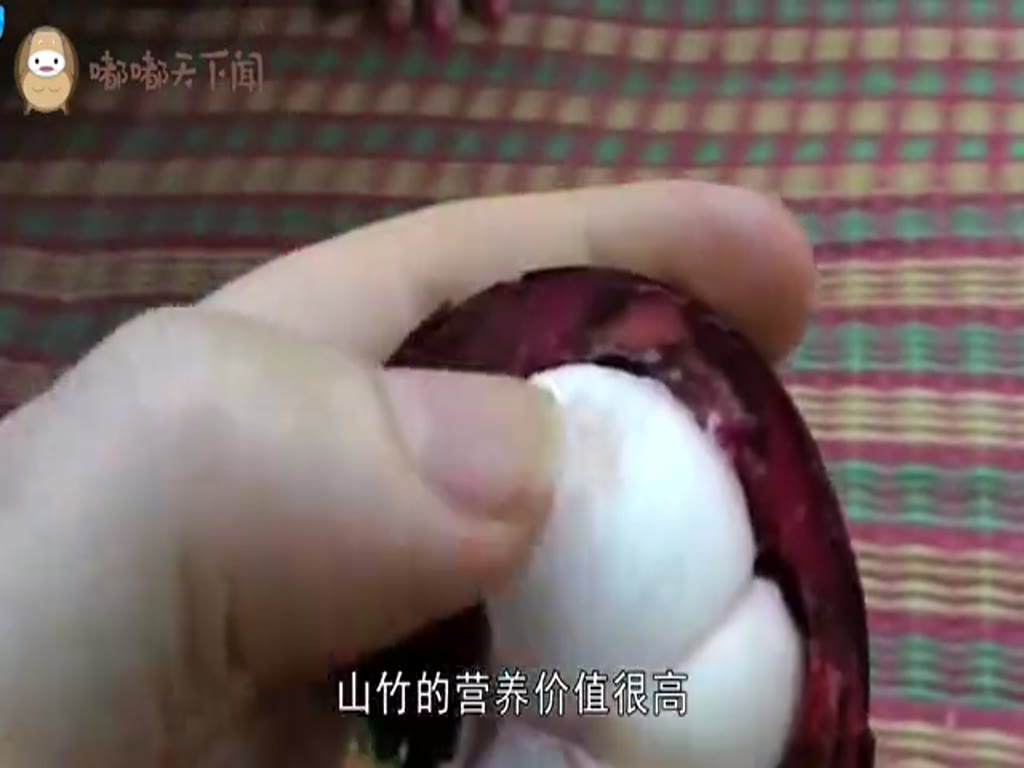 Why is mangosteen so expensive? After watching the picking process, you will know that expensive is reasonable.