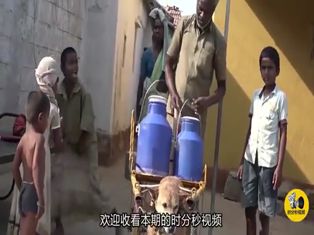 A sensible dog delivers two large barrels of milk to his owner every day for six years.
