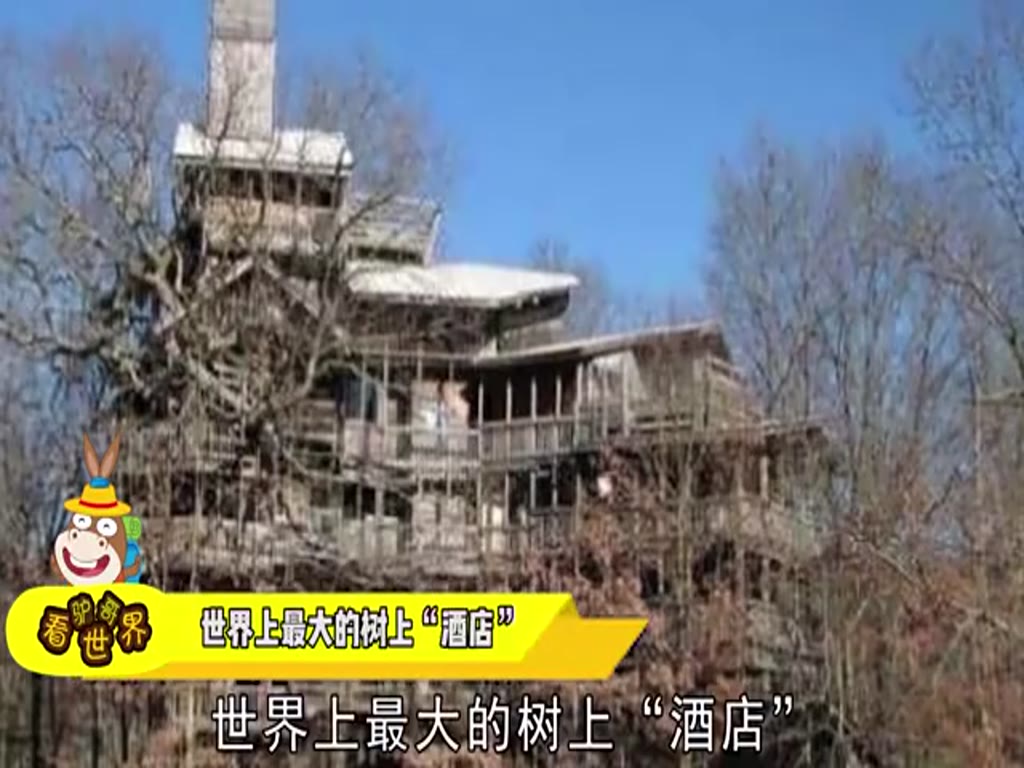 The largest tree hotel in the world costs thousands of yuan a night and can accommodate more than 100 people at most!