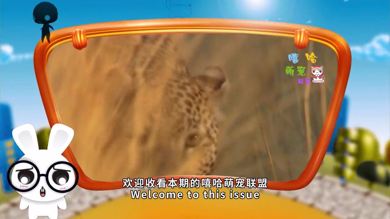 Ostrich step by step, cheetah chase it must be desperate, the camera shot a thrilling scene!