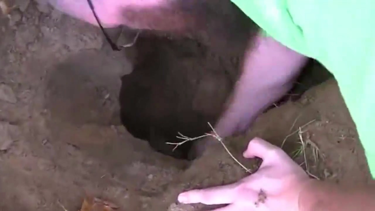 The man found a big hole in the backyard. He thought it was a dog. He dug up a wonder.
