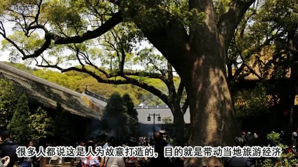 The wonder of a thousand-year-old tree in Fujian contains a Buddha statue, whose origin is unknown and attracts countless tourists.