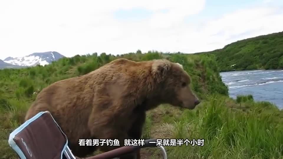 When the Russian man was fishing, a big brown bear came next to him. It was polite to sit next to him.