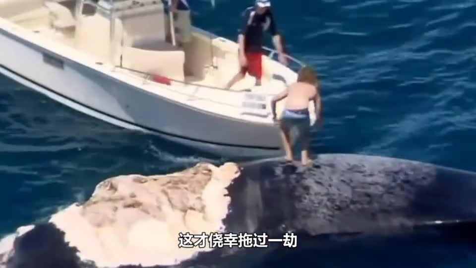 The man jumped on the whale body to 