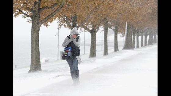 Chicago Snow Weather: snow totals up to 6 inches, 1,000 flights canceled
