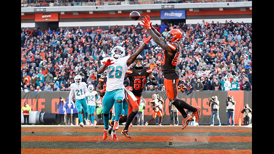 Recap Dolphins vs Browns final score 24-41 in 2019 NFL Week 12 Highlights