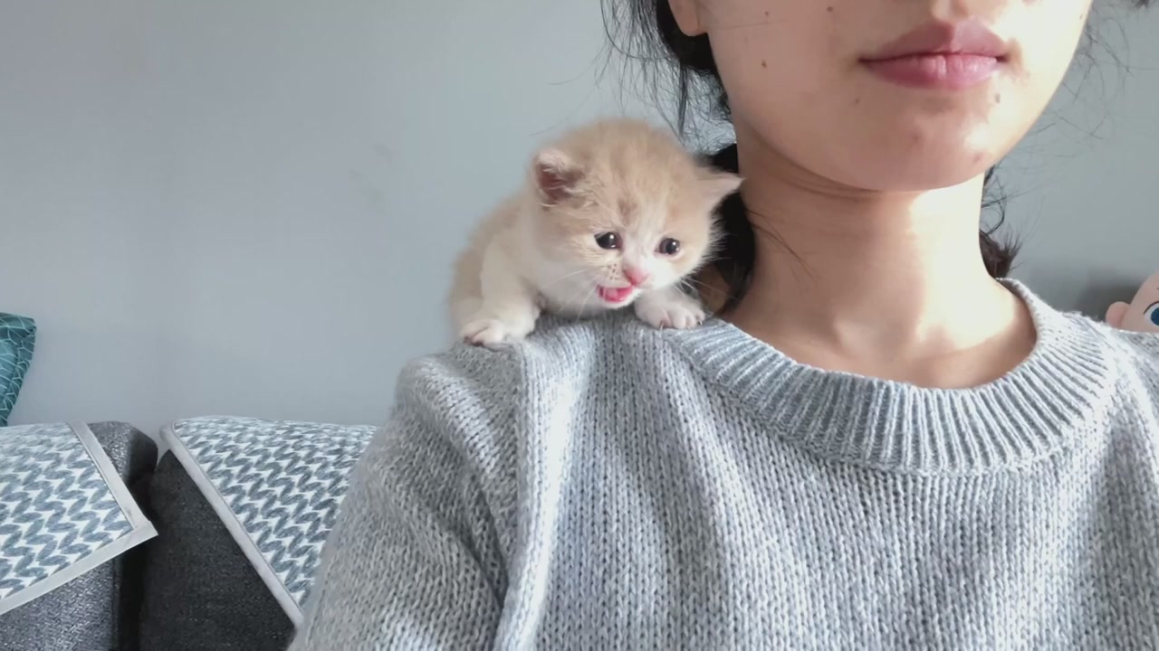 Hi Kitten , Do you want to kiss me 